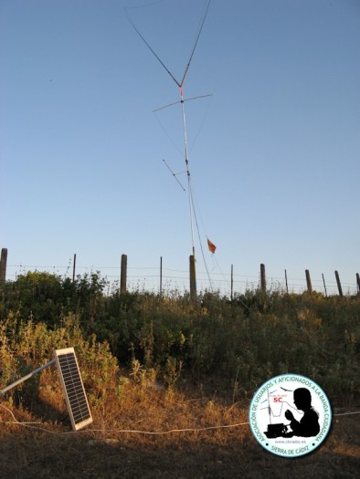Rescatando los últimos rayos solares de la tarde.