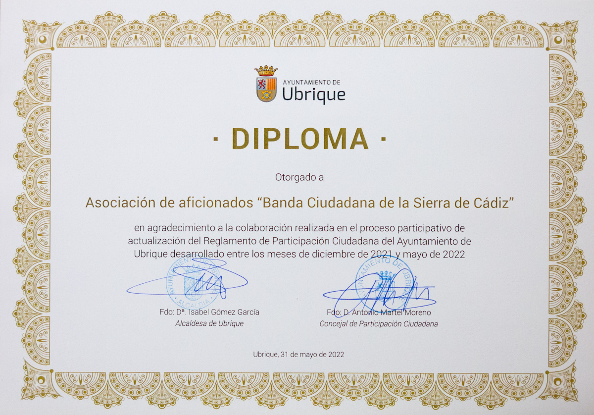 Diploma Participación Ciudadana